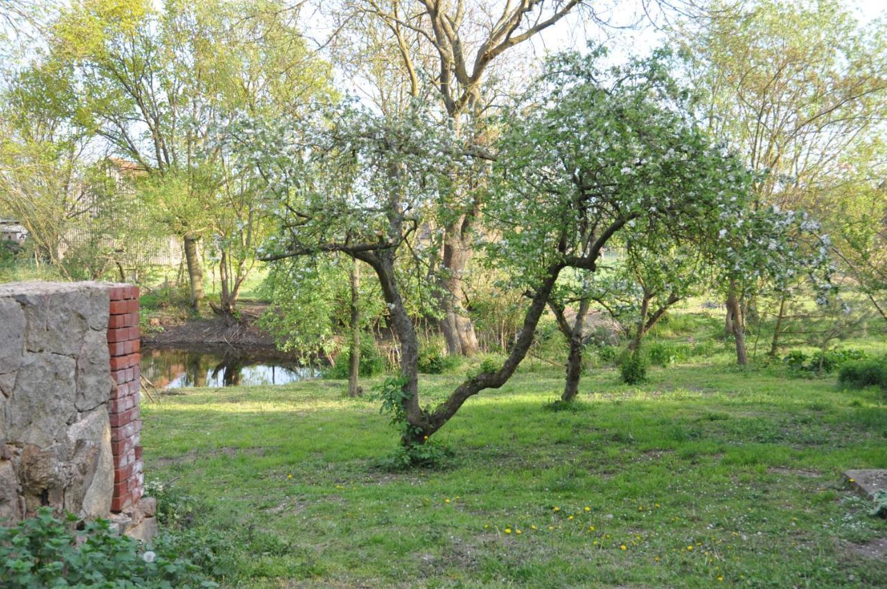 Ferienhaus Caselow 23 Bergholz ภายนอก รูปภาพ
