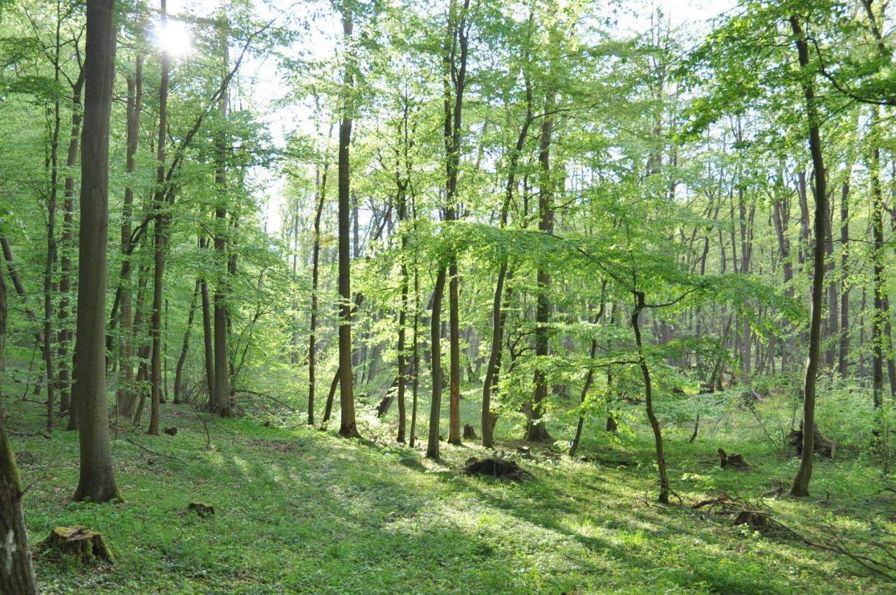 Ferienhaus Caselow 23 Bergholz ภายนอก รูปภาพ