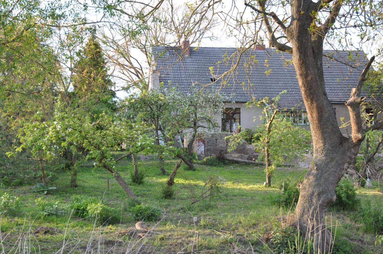 Ferienhaus Caselow 23 Bergholz ภายนอก รูปภาพ